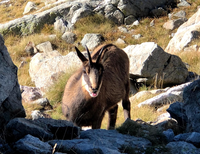 il se fout de moi il se fout de moi